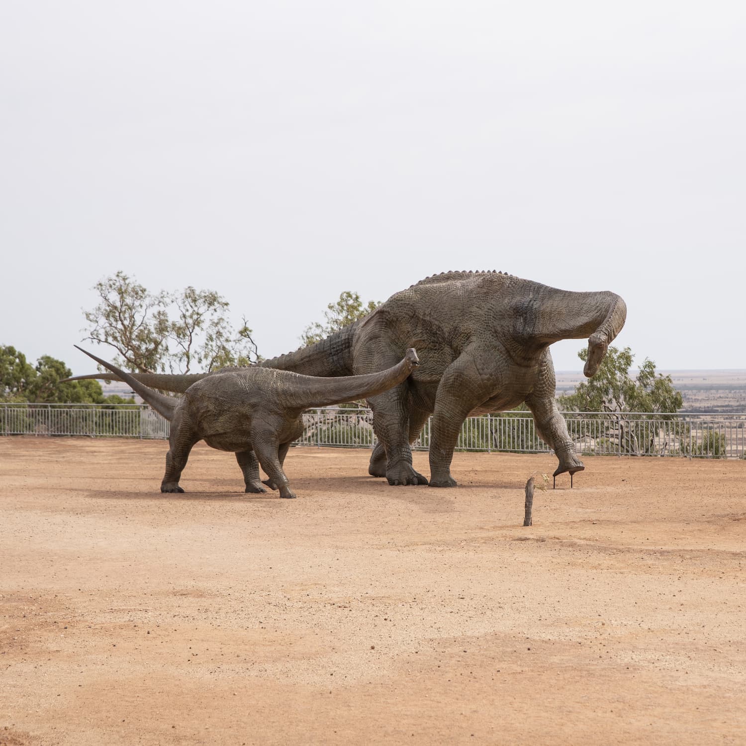 Life-size dinosaurs sculptures displayed in the grounds of Australian Age of Dinosaurs