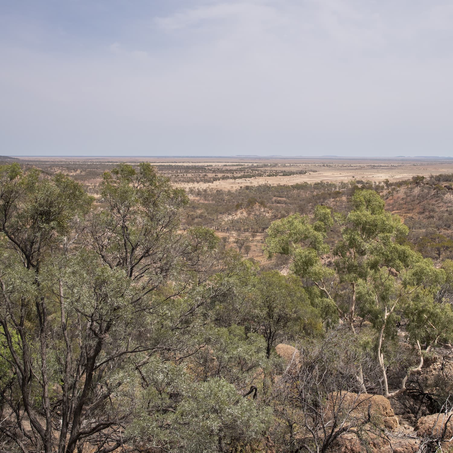 View across the Winton outback landscape