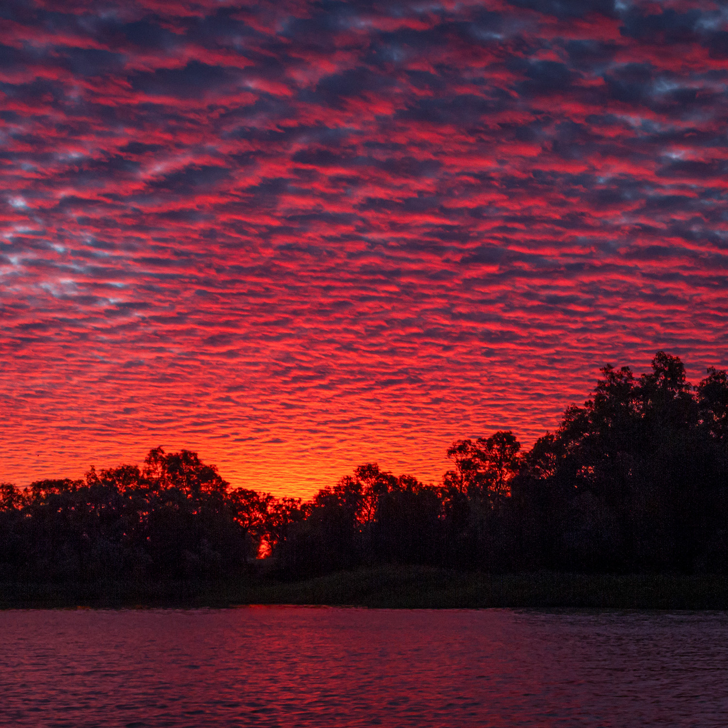 Thomson River red sky sunset
