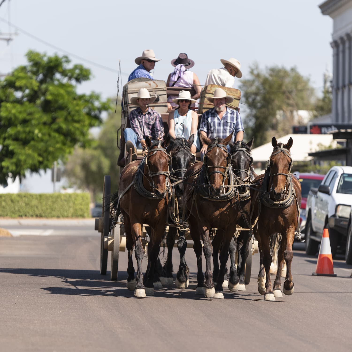 Cobb and Co Stagecoach returning to town