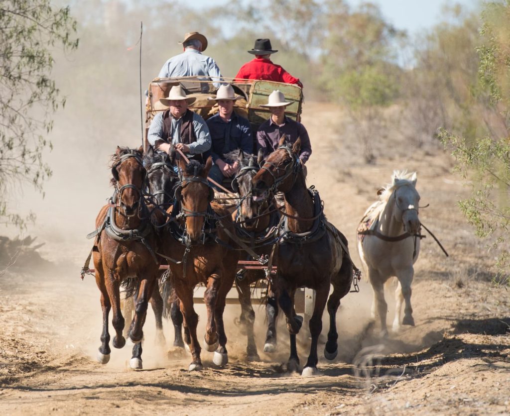 The Cobb and Co Stagecoach galloping on a bush track