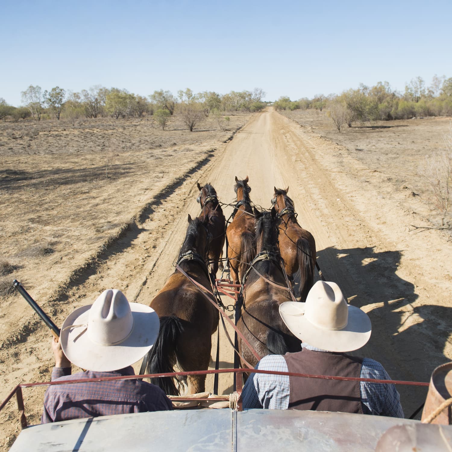 View of dusty bush track as seen from the roof of a Cobb and Co Stagecoach