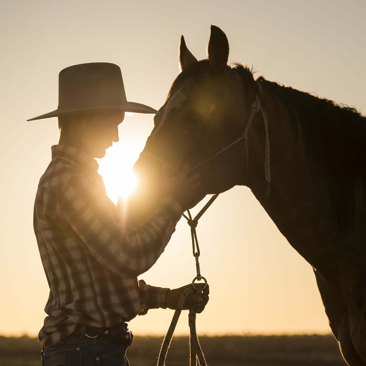 Closeup of Lane Kinnon with his horse at sunset