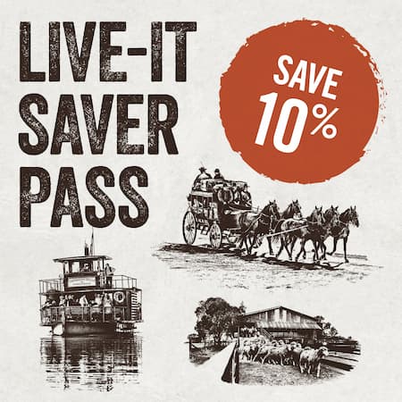 Live-it Saver Pass tile