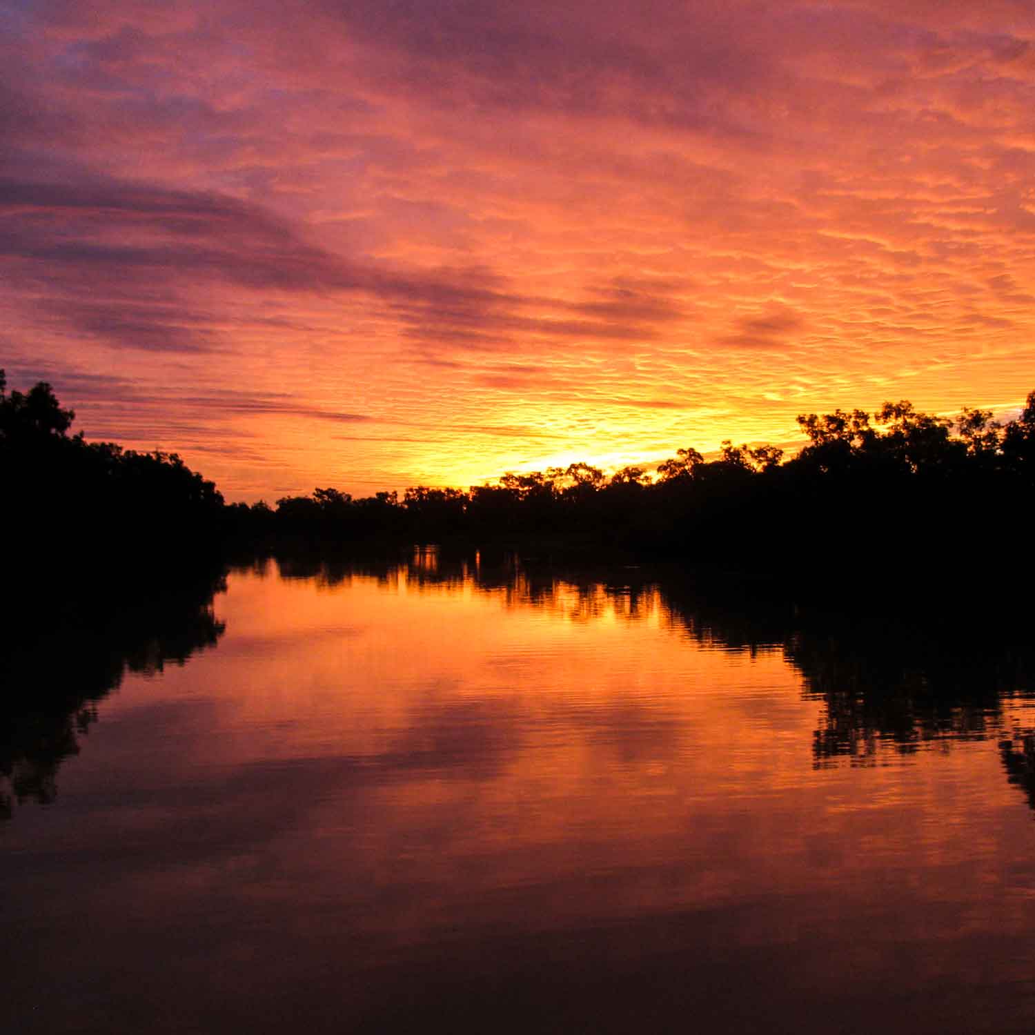 Thomson River sunset