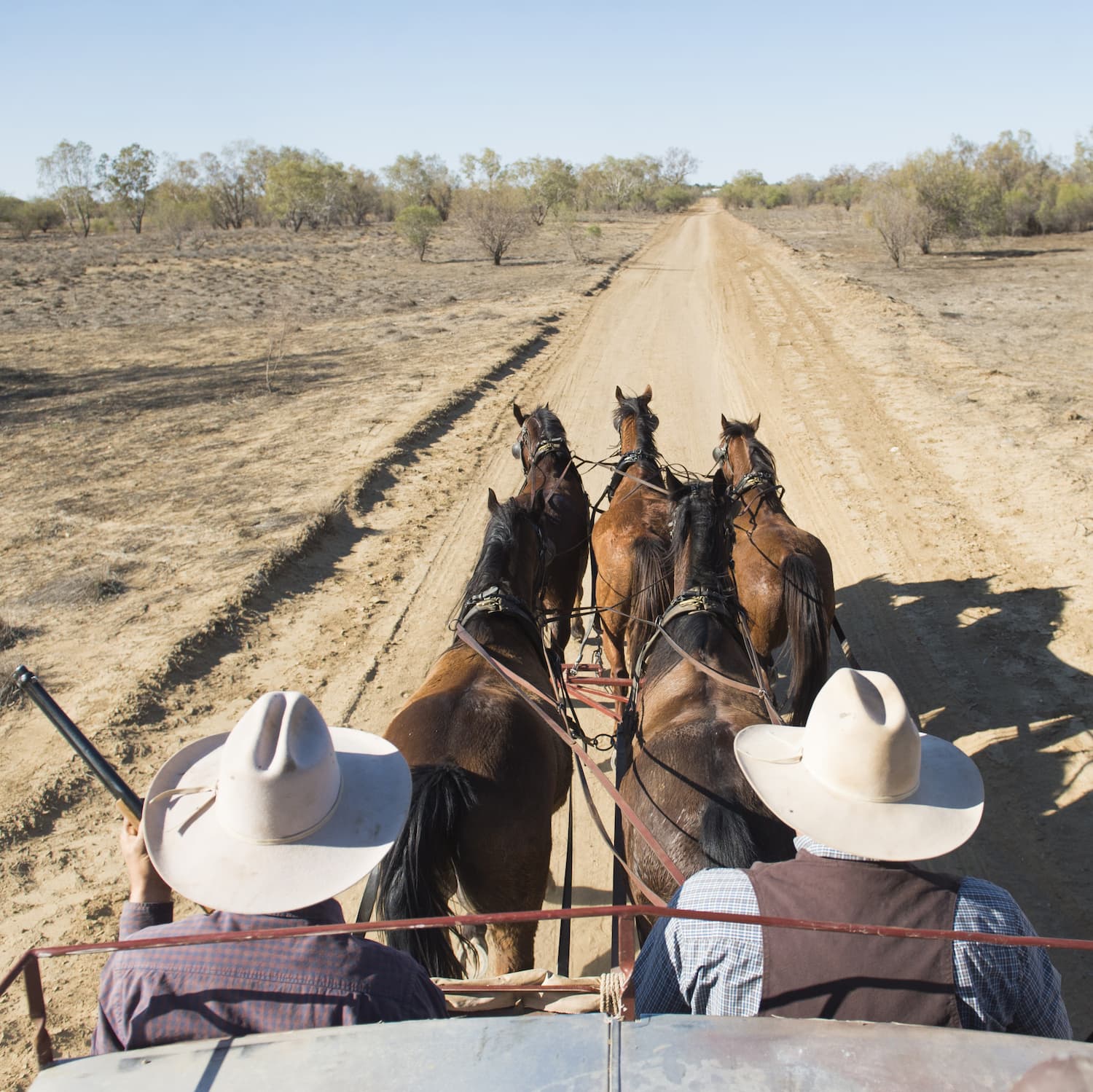 View of dusty bush track as seen from the roof of a Cobb and Co Stagecoach