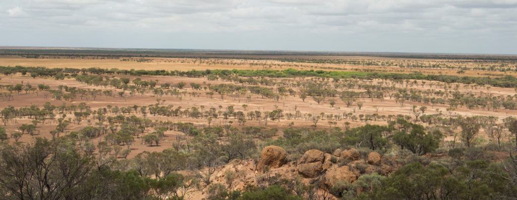 A wide-shot of Longreach's outback
