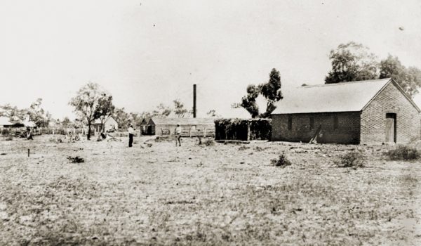 Out-buildings at Bowen Downs Station in the late 1800s