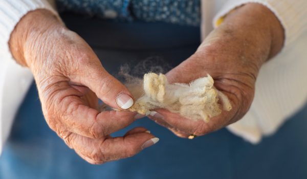 Close-up of female hands separating a staple of wool