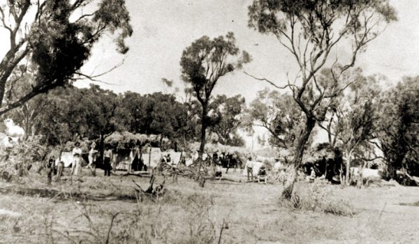 Union camp in Barcaldine during the 1891 Shearers' Strike. John Oxley Library, State Library of Queensland. Neg 2027