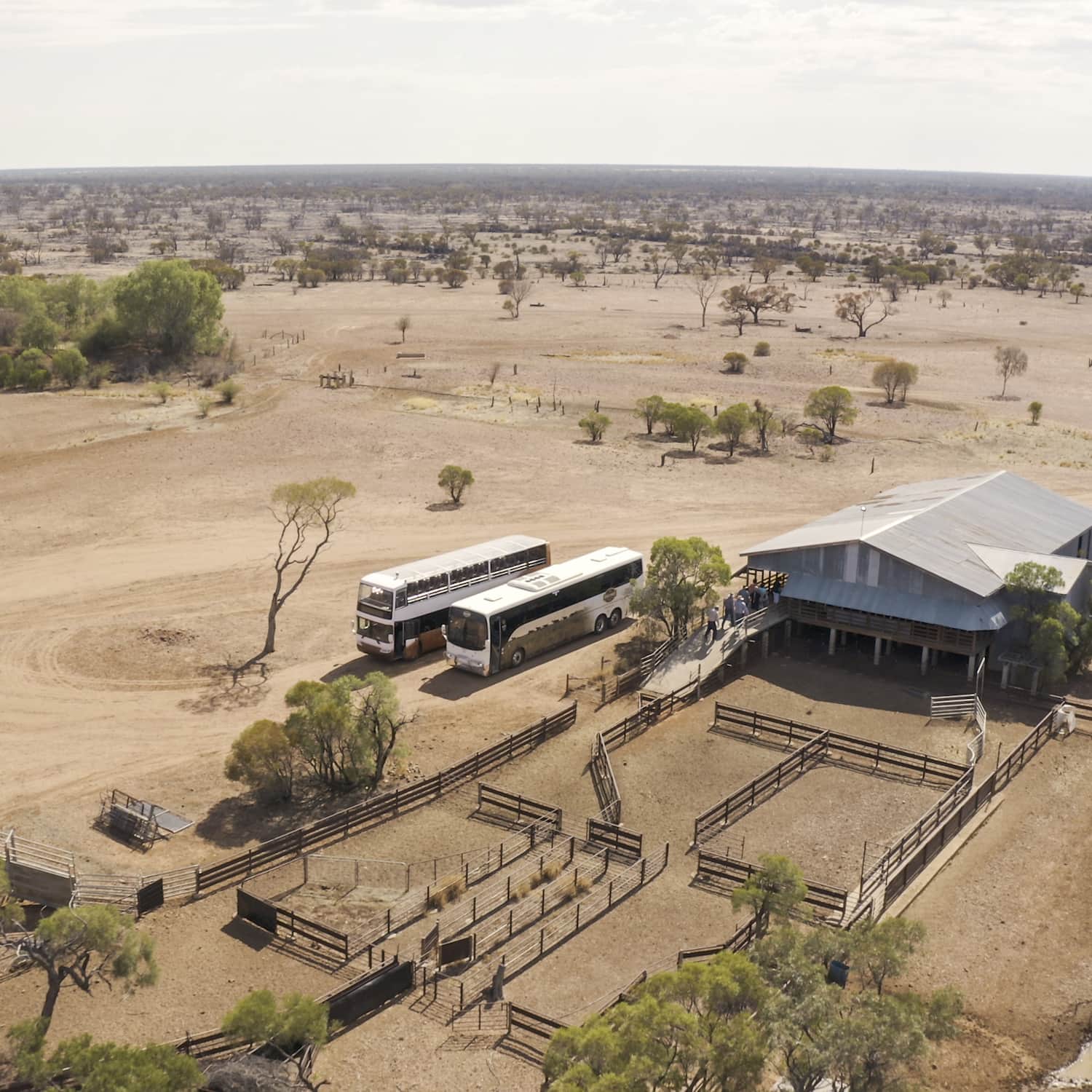Aerial view of the Nogo Station shearing shed with two busses parked alongside