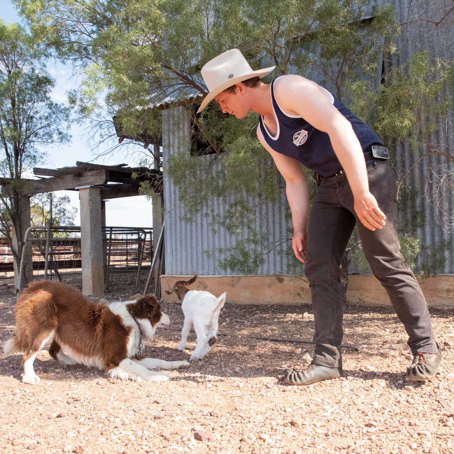 The shearer outside the shearing shed with border collie dog and baby goat