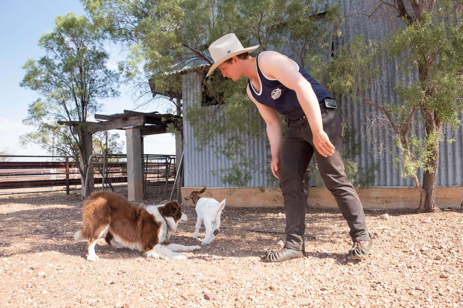 The shearer outside the shearing shed with border collie dog and baby goat