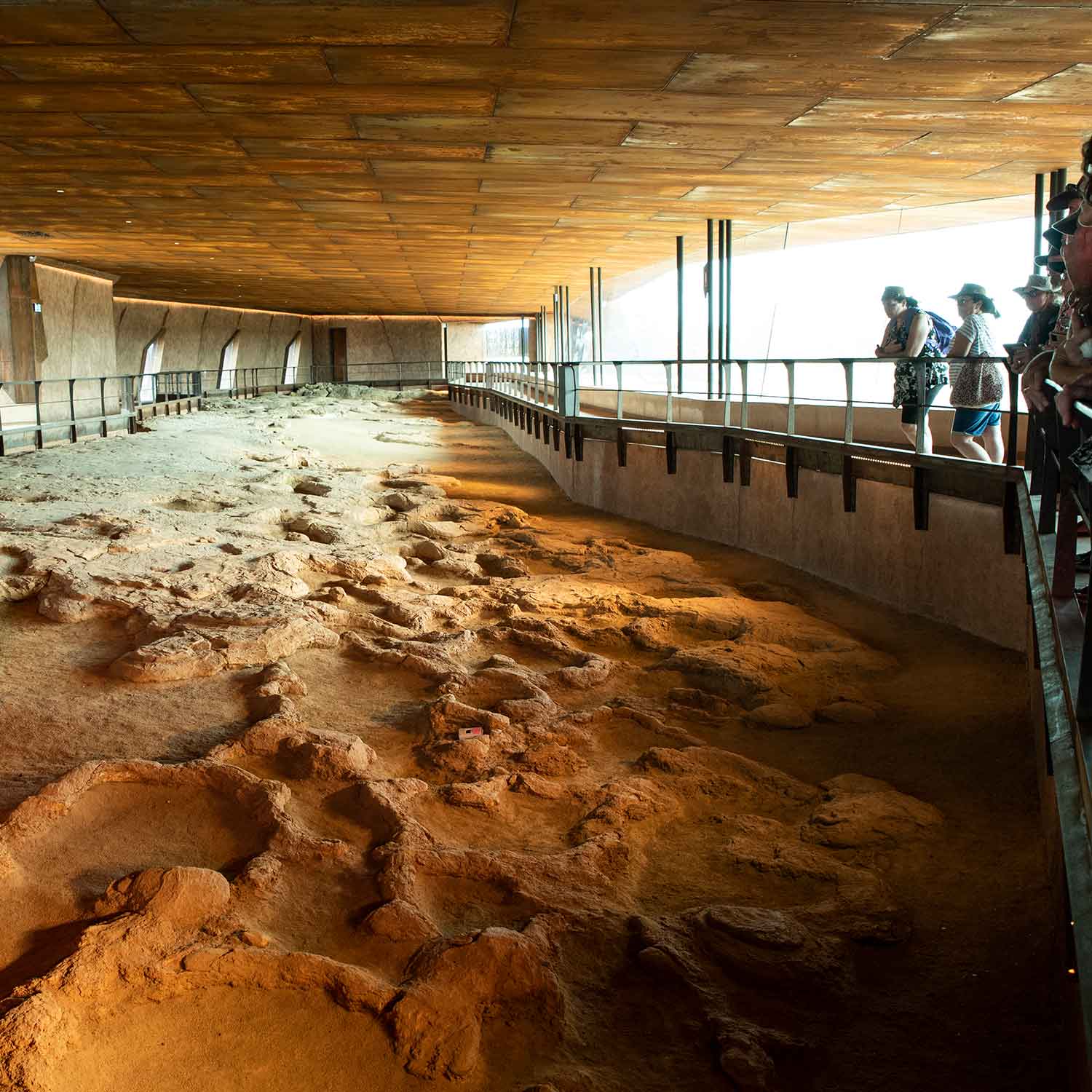 March of the Titanosaurs exhibition interior