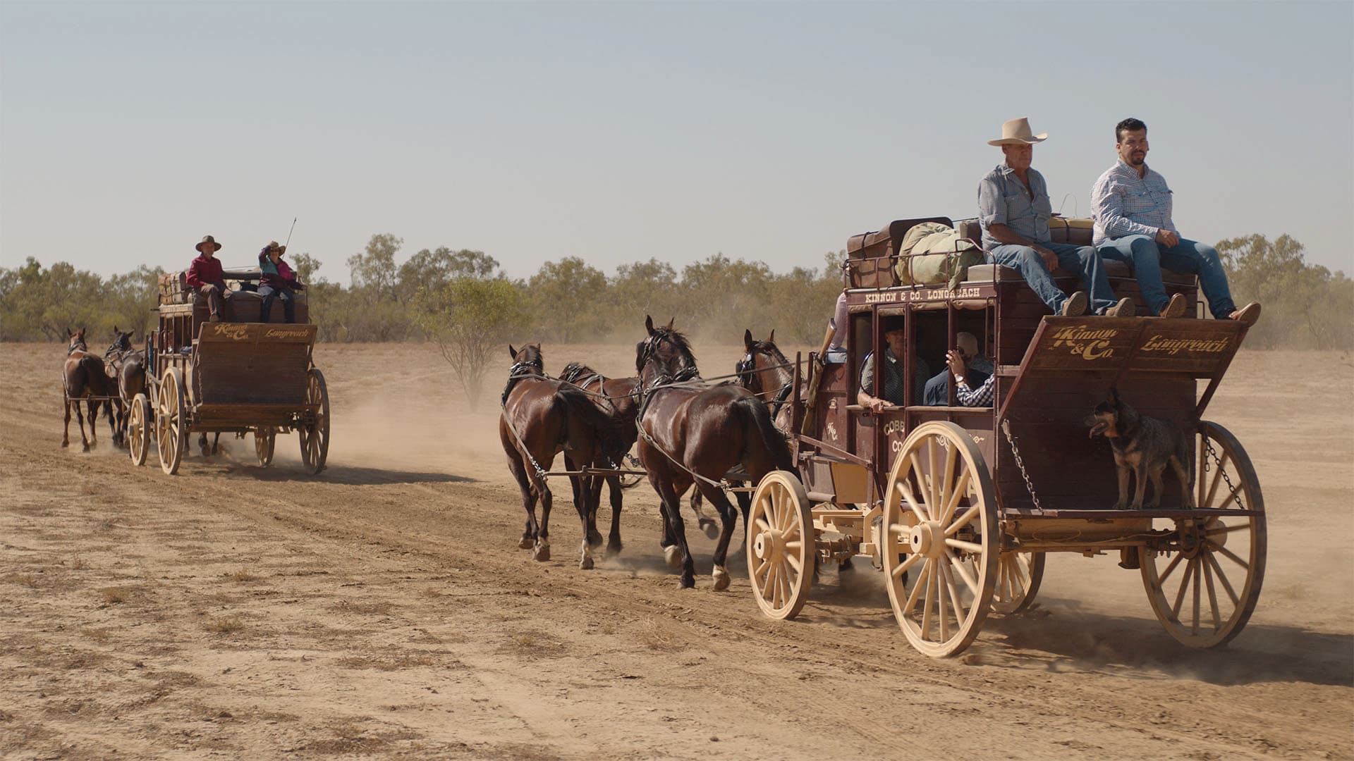 Cobb and Co stagecoach ride