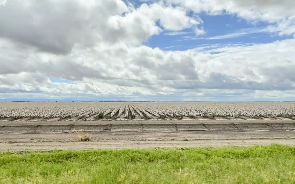 Farmland on Matilda Highway, Queensland